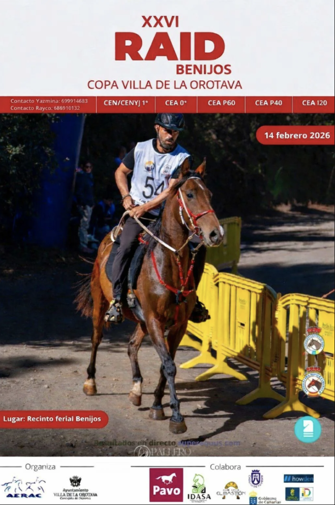 XXVI RAID BENIJOS COPA VILLA DE LA OROTAVA 14 FEBRERO 2026