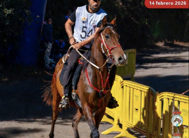 XXVI RAID BENIJOS COPA VILLA DE LA OROTAVA 14 FEBRERO 2026