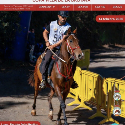 XXVI RAID BENIJOS COPA VILLA DE LA OROTAVA 14 FEBRERO 2026