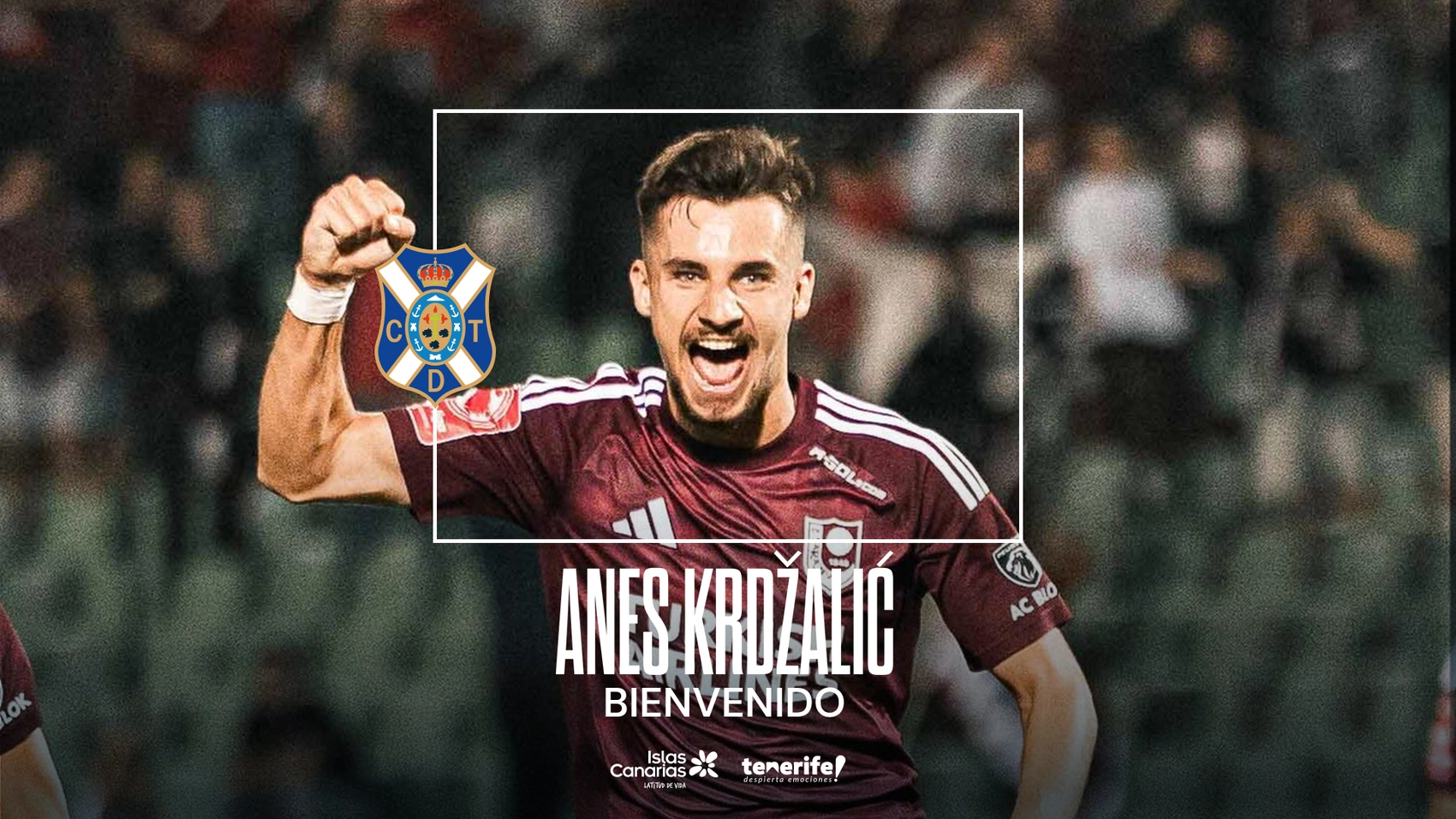 Anes Krdžalić